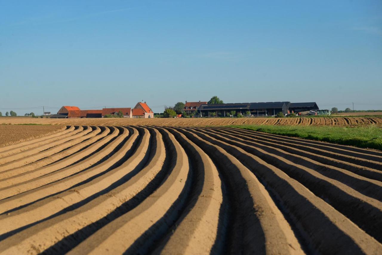 Hoeve Ten Rooden Duifhuize Sint-Denijs Luaran gambar